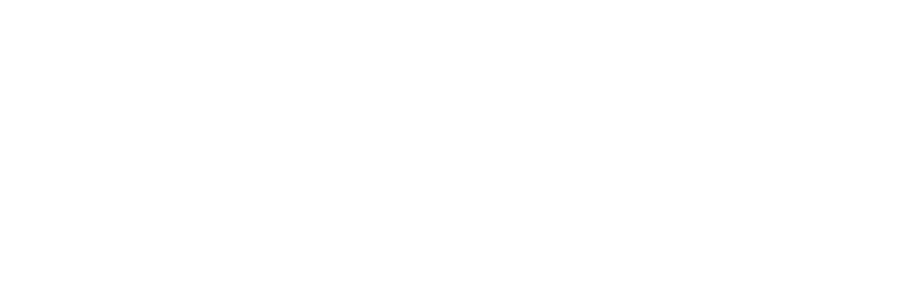 Logo MGS Flux